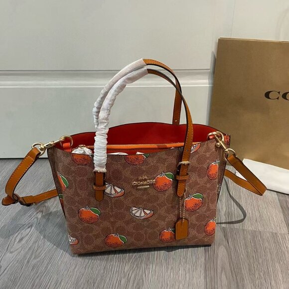 COACH Teri  Bag, Size 25cm - Picture 2 of 9